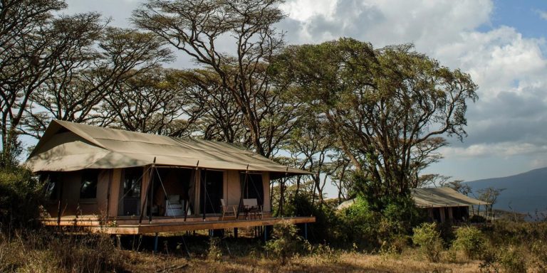 9 DAY ULTIMATE TANZANIA AND RWANDA LUXURY SAFARI