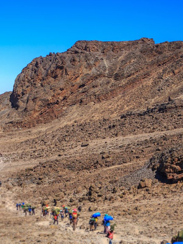 kilimanjaro-trails-001