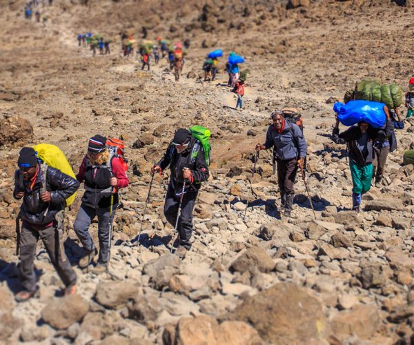 kilimanjaro-trails-005